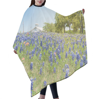 Personality  Colorful Bluebonnet Blossom At Farm In North Texas, America Hair Cutting Cape