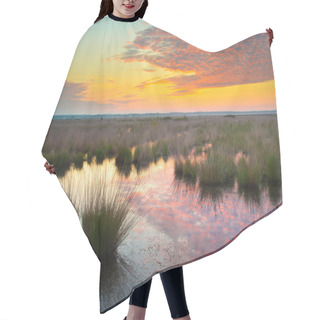 Personality  Swamp At Dusk Hair Cutting Cape