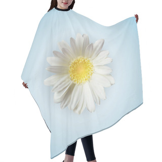 Personality  Vector Chamomile Flower Isolated Hair Cutting Cape