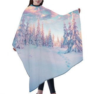 Personality  Winter  In The Carpathian Mountains. Hair Cutting Cape