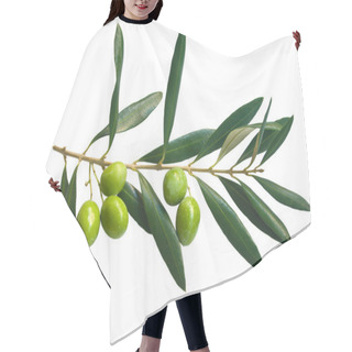 Personality  Branch Of Green Olives Hair Cutting Cape