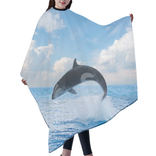 Personality  Jumping Killer Whale Hair Cutting Cape