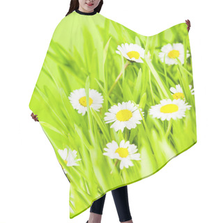 Personality  Green Grass And Daisy Hair Cutting Cape