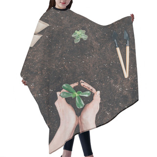 Personality  Cropped Shot Of Person Holding Beautiful Green Plant In Soil  Hair Cutting Cape