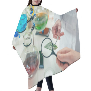 Personality  Biologists With With Magnifying Glass And Leaf Hair Cutting Cape