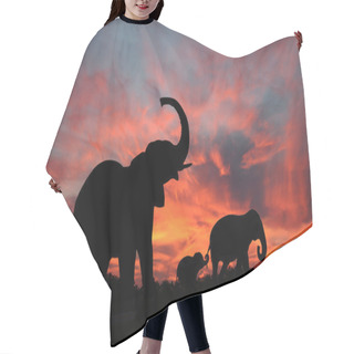 Personality  Elephants Enjoy A Spectacular Sunset On The Serengeti Hair Cutting Cape