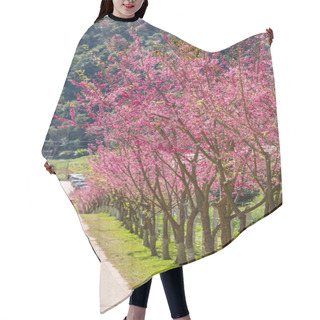 Personality  Blooming Sakura Trees Hair Cutting Cape