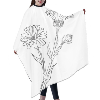 Personality  Hand Drawn Flowers - Calendula Officinalis Or Pot Marigold Hair Cutting Cape