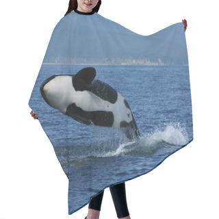 Personality  Killer Whale Breaching Hair Cutting Cape