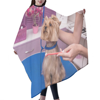 Personality  Groomer Grooming Dog Hair Cutting Cape