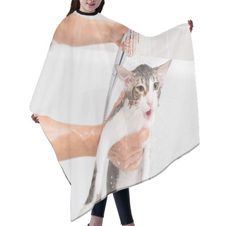 Personality  Bathing A Cat Hair Cutting Cape