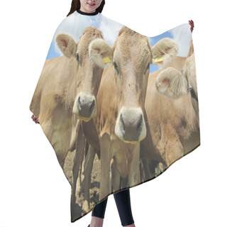 Personality  Cattle Hair Cutting Cape