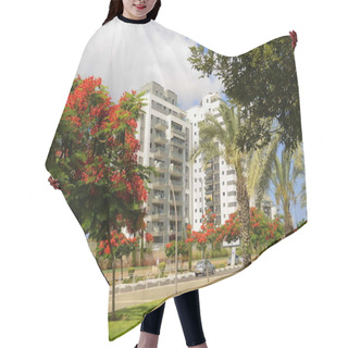 Personality  Israel. Rishon Le Zion June 18, 2023. Flowering Streets, Modern Residential Area. Flame Tree On Street. Investments In Real Estate Hair Cutting Cape
