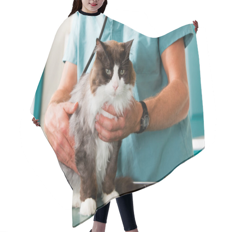 Personality  Cat Check-Up Hair Cutting Cape