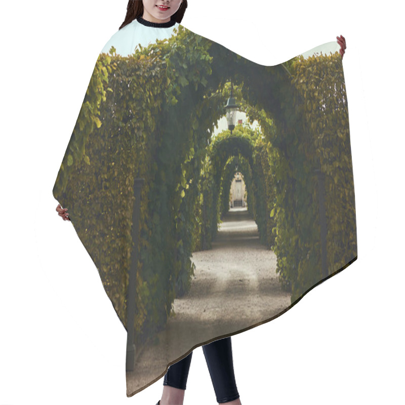 Personality  Arches With Curly Leaves In Park. Beautiful Place In Garden Hair Cutting Cape