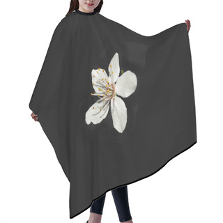 Personality  Flower Isolated On White Background Hair Cutting Cape