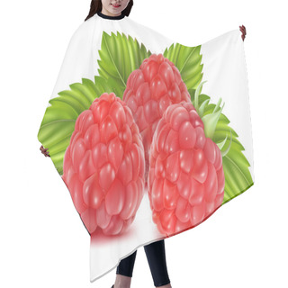 Personality  Vector Illustration Of Ripe Raspberries. Hair Cutting Cape