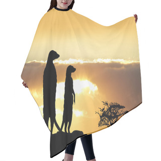 Personality  Meerkats At Sunset Hair Cutting Cape