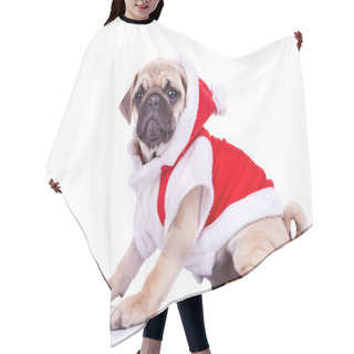Personality  Pug Puppy Wearing A Santa Claus Costume Hair Cutting Cape