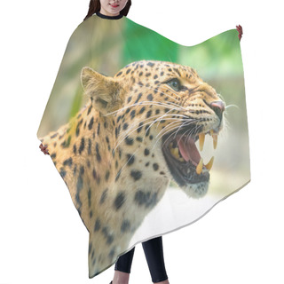 Personality  Portrait Of Leopard Prints Angry In The Natural World. Hair Cutting Cape