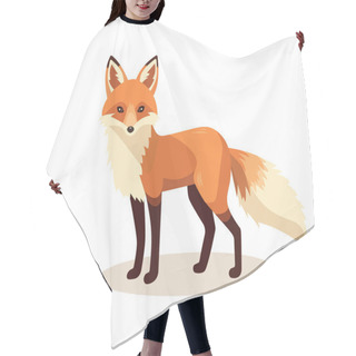 Personality  Standing Fox Isolated On A White Background. Body Side View, Head In Full Face. Stock Vector Illustration. Forest Animal Hair Cutting Cape