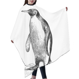Personality  Penguin Sketch Hand Drawn In Engraving Style Sea Animals Vector Illustration. Hair Cutting Cape