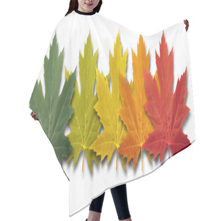 Personality  Autumn Border Element Hair Cutting Cape