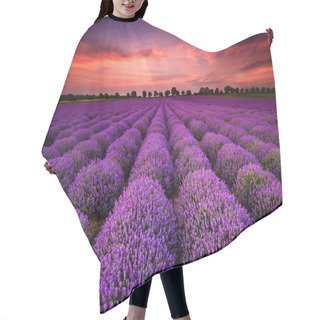 Personality  Lavender Sunset Hair Cutting Cape