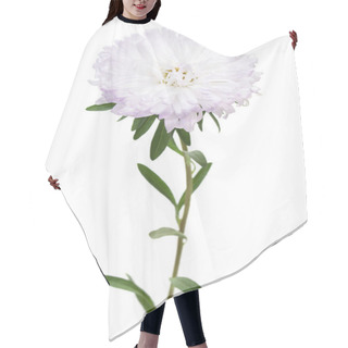 Personality  Flower White Aster Isolated On White Background Hair Cutting Cape
