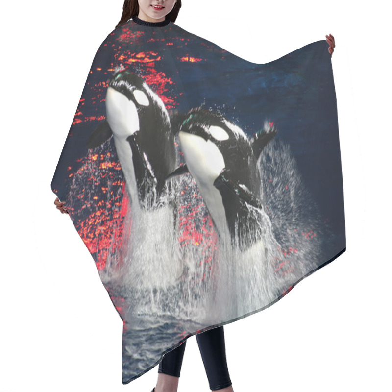 Personality  Killer Whales Hair Cutting Cape