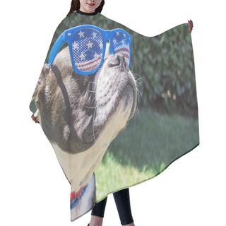 Personality  Cute Boston Terrier Dog Wearing Fourth Of July Stars And Stripes Sunglasses And Necklace Hair Cutting Cape