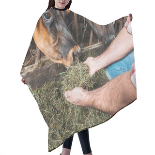 Personality  Farmer Feeding Cows In Stall Hair Cutting Cape