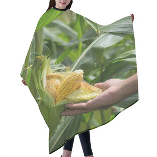 Personality  Close View Of Green Corn Cob In Green Field Hair Cutting Cape