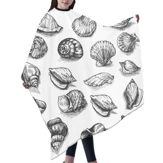 Personality  Big Vector Collection Of Sketched Seashells Isolated On White Background. Hand-drawn Sea Animals Set. Hair Cutting Cape