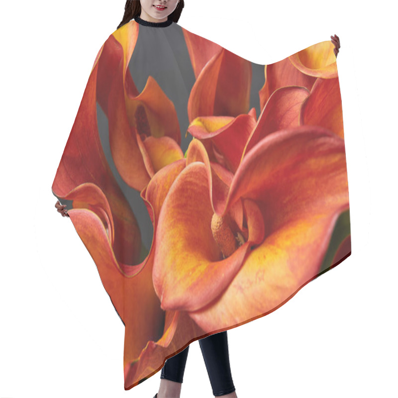 Personality  Bouquet of Red and Yellow Calla Lilies. Close-up photo. hair cutting cape