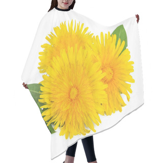 Personality  Dandelion Flowers Hair Cutting Cape