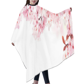 Personality  Dreamy Cherry Blossoms Isolated On White Hair Cutting Cape
