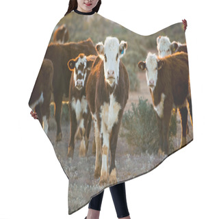 Personality  Cattle Hair Cutting Cape