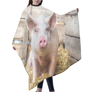 Personality  Pig On Hay And Straw Hair Cutting Cape