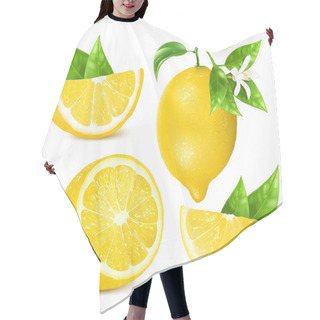 Personality  Fresh Lemons With Leaves And Blossom. Hair Cutting Cape