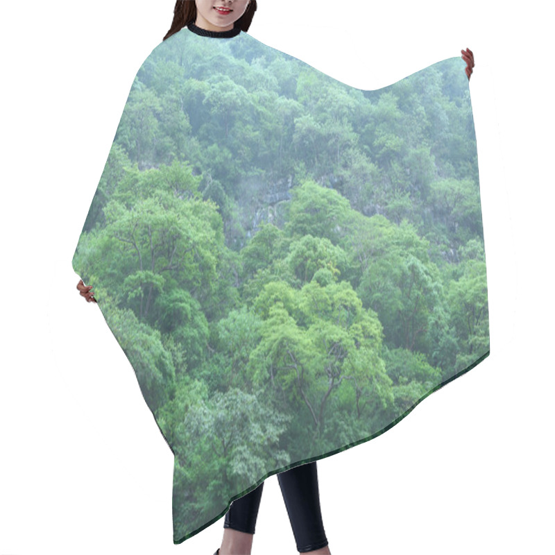 Personality  Steep Central American jungle landscape hair cutting cape