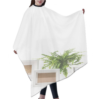 Personality  Beautiful Green Potted Plants And Empty Photo Frames On White Hair Cutting Cape