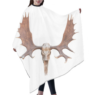 Personality  Skull Moose Hair Cutting Cape