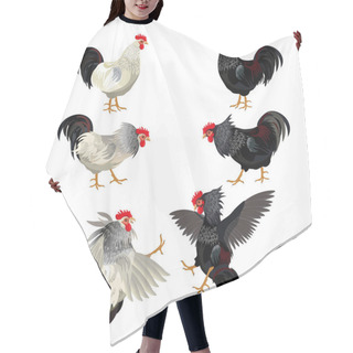 Personality  Rooster Set Vector Hair Cutting Cape