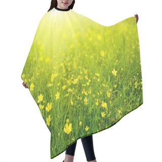 Personality  Field Of Spring Flowers And Sunlight Hair Cutting Cape