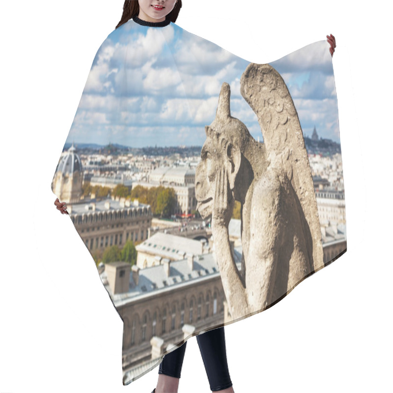 Personality  Paris Aerial View Hair Cutting Cape