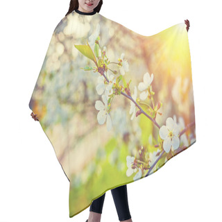 Personality  Blossoming Cherry Tree Hair Cutting Cape