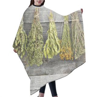 Personality  Variety Of Dried Herbs On An Old Wooden Background Hair Cutting Cape