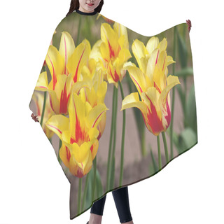 Personality  Tulips Hair Cutting Cape