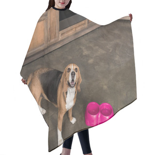 Personality  Hungry Beagle Dog Hair Cutting Cape
